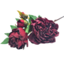 Vintage Peony Maroon 62cm 2