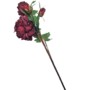 Vintage Peony Maroon 62cm