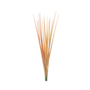 Grass Light Orange 23cm