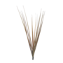 Grass Dark Brown 30cm