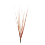 Grass Medium Orange 30cm
