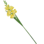 Gladiolus Stem Yellow 87cm