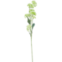 Aniseed Flowers Stem White 77cm