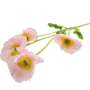 Poppy Stem Light Pink 60cm 2