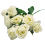 Rose Bush White 10 Piece 32cm 2
