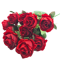 Rose Bush Red 10 Piece 32cm 2