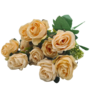 Rose Bush Champagne 10 Piece 32cm 2