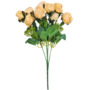 Rose Bush Champagne 10 Piece 32cm