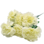 Carnations White 7 Piece 45cm 2