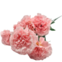 Carnations Pink 7 Piece 45cm 2