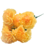 Carnations Peach 7 Piece 45cm 2
