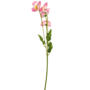 Poppy Stem Pink 60cm