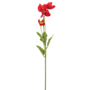 Poppy Stem Red 60cm