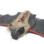 Furry Bat With Open Wings 2