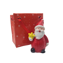 Miniature Father Christmas With Star 45cm