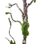 Artificial Branch With Moss 90cm 2