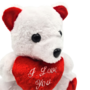 Plush Teddy Bear With Red Heart White 20cm 2
