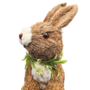 Natural Fibre Bunny Brown 34cm 2