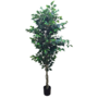 Ficus Tree Green 180cm