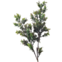 Artificial Branch Dark Green 79cm 2