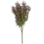 Fine Leaf Bush Maroon 54cm