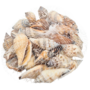Sea Shells In Net Bag 100g 2