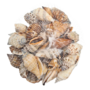 Sea Shells In Net Bag 100g