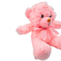 Plush Teddy Pink 18cm 2