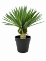 Artificial Yucca Plant In Black Pot 38 X 34 Cm
