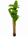 Artificial Banana Tree In Black Pot 18m Realistic Tropical Indoor Plant