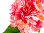 80cm Hydrangea Pink 3