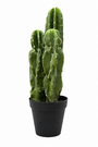 Artificial Clustered Column Cactus Plant 38 X 34 Cm