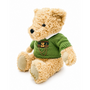 25cm Green Jersey Teddy Bear 2