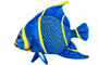 Blue Tropical Plush Fish 25 X 25 X 8 Cm