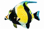 Colourful Tropical Plush Fish 25 X 25 X 8 Cm