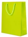 Bag18e Large Lime Green Gift Bag 32x26x12cm