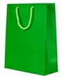 Bag18i Large Apple Green Gift Bag 32x26x12cm