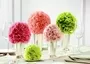 Oasisfloral Foam Sphere Ball 2