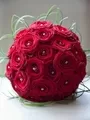 Oasisfloral Foam Sphere Ball 5