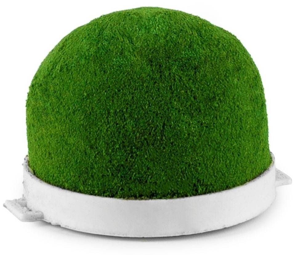 OASIS® Mini Deco Floral Foam Holder with Slotted Side Tabs Pack of 10