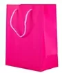 Medium Pink Thick Paper Gift Bag 23x18x10cm