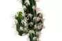 34cm Mini Cactus Plant 2