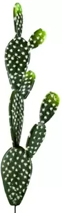52cm Cactus Prickly Pear