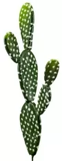 44cm Cactus Prickly Pear